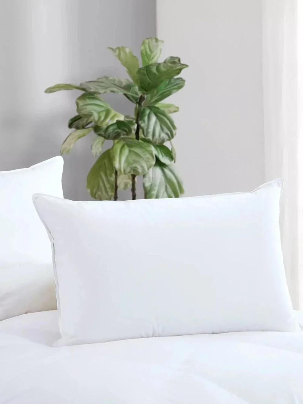 Avocado luxury Down Filled Queen Pillow 100% Cotton Cover 600 Fill Power - $245